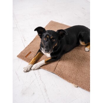 Ein schwarz-brauner Hund liegt auf einer weichen, braunen Tiermatte und schaut direkt in die Kamera mit einem ruhigen Ausdruck.