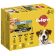 Pedigree Adult-Hundefutterbox mit Geflügelauswahl und Gemüse, enthält 12 Beutel und hebt "Superfoods" und recycelbare Verpackung hervor.
