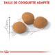 Trois croquettes pour animaux de compagnie marron sont montrées sur une grille esquissée, avec le texte "TAILLE DE CROQUETTE ADAPTÉE" au-dessus.
