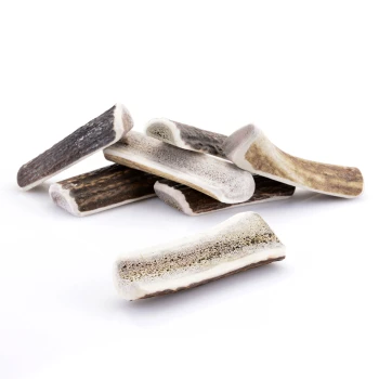 halbiertes Geweih XS ca. 30-50g Ein Stapel von sechs natürlichen Hundekau-Knochen, unterschiedlich in Größe und Farbe, mit einer strukturierten Oberfläche und einem weißen, cremigen Inneren.