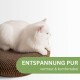 Eine flauschige weiße Katze, die auf einem strukturierten braunen Haustierbett entspannt, mit dem Text "ENTSPANNUNG PUR" und "vertraut & komfortabel" in Grün.