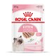 Royal Canin Kitten-Futterbeutel, 85g, mit einem Bild eines flauschigen Kätzchens, gekennzeichnet mit "Bis zu 12 Monate" und "Keine Konservierungsstoffe."