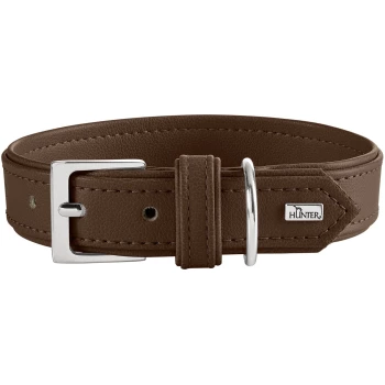 Braunes Lederhundehalsband mit silberner Schließe und D-Ring, abgesteppten Kanten und Metallanhänger mit 'HUNTER'-Logo.