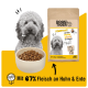 Grau gelockter Hund mit Futterschüssel und DOGS'n TIGER Hundefuttersack mit Aufschrift '67% Huhn & Ente' (Huhn & Ente).