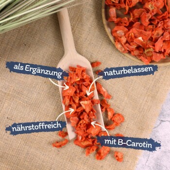 Getrocknete Orangenscheiben und Karottenstücke auf einem Holzlöffel und Teller mit Beschriftungen: „als Ergänzung“, „naturbelassen“, „nährstoffreich“, „mit B-Carotin“.