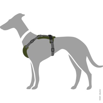 Illustration eines grauen Hundes mit einem grünen Geschirr mit verstellbaren Riemen, das eine Seitenansicht des Geschirrdesigns zeigt.
