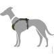 Illustration eines grauen Hundes mit einem grünen Geschirr mit verstellbaren Riemen, das eine Seitenansicht des Geschirrdesigns zeigt.