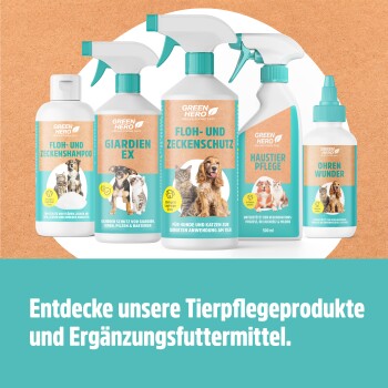 Entdecken Sie unsere Tierpflegeprodukte & Ergänzungsfuttermittel, mit verschiedenen GREEN HERO Flaschen und Behältern auf einem türkisfarbenen Hintergrund.