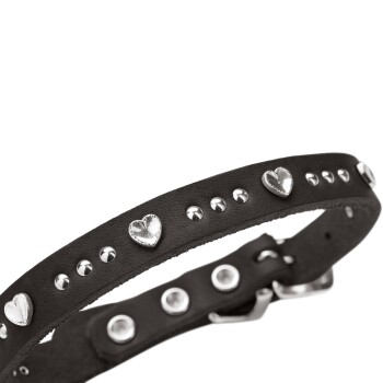 Schwarzes Lederhalsband für Haustiere mit silbernen herzförmigen Nieten, runden Nieten und Metallschnalle.