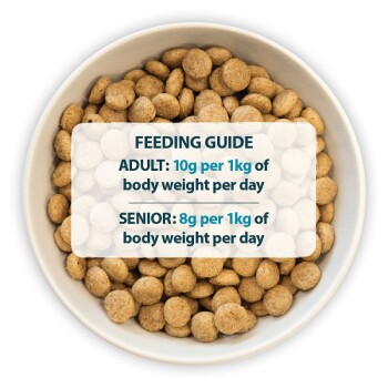Bowl of pet food with a feeding guide overlay: "ADULT: 10g per 1kg of body weight per day; SENIOR: 8g per 1kg of body weight per day."