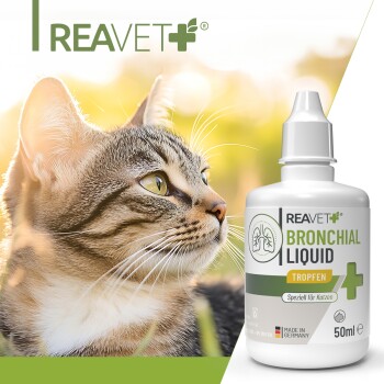 Nahaufnahme einer getigerten Katze neben einer 50ml Flasche REAVET Husten Saft Hustensaft für Katzen, hergestellt in Deutschland.