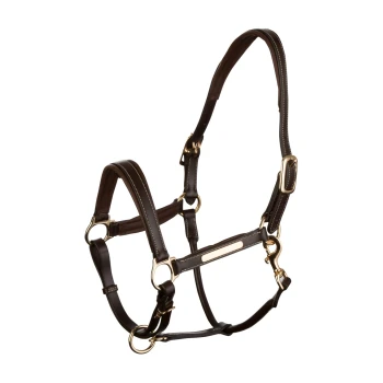Braunes Leder-Haustiergeschirr mit goldenen Beschlägen und weißen Nähten, das für Komfort und Haltbarkeit konzipiert ist.