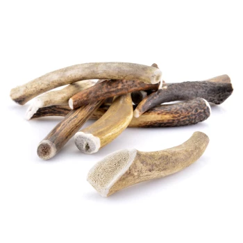 Ein Haufen verschiedener natürlicher Hundekauartikel aus Geweihen, die verschiedene Formen und Texturen vor einem weißen Hintergrund zeigen.