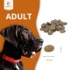 Eine Nahaufnahme eines schwarzen Hundes mit einem roten Halsband, neben Hundefutter-Kibble. Der Text "ADULT" ist deutlich darüber angezeigt.