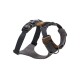 Front Range™ Geschirr braun XS