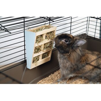 Un lapin brun duveteux renifle un distributeur de foin en bois rempli de foin, à l'intérieur d'une cage pour animaux de compagnie avec des copeaux de bois au sol.