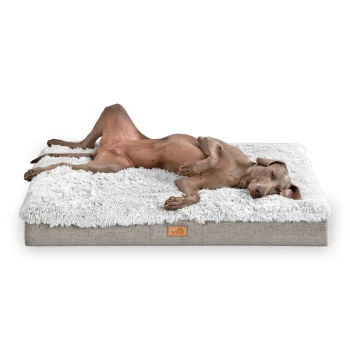 PABLO SHAGGY ORTHO PLUS Hundematratze weiß/ grau 80 cm, 13 cm, 60 cm Ein entspannter brauner Hund liegt auf einem plüschigen, weißen Hundebett mit grauem Boden und zeigt Komfort und Ruhe.