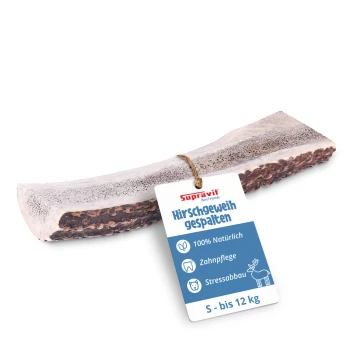 Ein großer, natürlicher Hundeknochen mit rauer Textur und einer hellen Oberfläche, vor einem weißen Hintergrund.