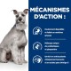 Un chien est assis à côté d'un panneau bleu mettant en avant les avantages de la nourriture pour animaux : digestible, prébiotiques, gingembre, antioxydants et oméga-3.