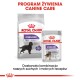 Opakowanie karmy dla psów Royal Canin z napisem 'Sterilised' dla dużych psów oraz mokrej karmy dla wszystkich rozmiarów, z tekstem podkreślającym utrzymanie wagi.