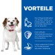 Ein Hund steht vor einem blauen Hintergrund mit Text, der Vorteile hervorhebt: "Vorteile," Nährstoffbalance, antioxidative Unterstützung und Verdauungsgesundheit.