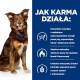 Pies z niebieską obrożą siedzi na niebieskim tle z polskim tekstem o korzyściach z karmy dla psów, takich jak wykorzystanie energii i źródła błonnika.