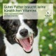 Ein glücklicher schwarz-weißer Hund im grünen Gras und Blumen, mit dem Text: "Gutes Futter benötigt keine künstlichen Vitamine."