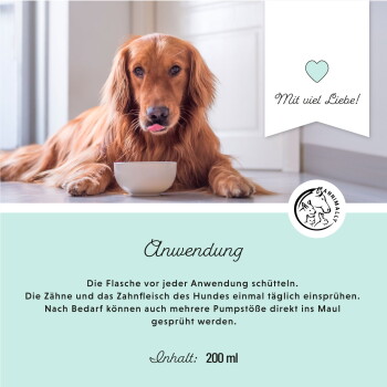 Ein hellblauer Hintergrund zeigt ein Hund- und Katzenlogo, mit Text zur sanften Zahnpflege und einem grauen Hund mit blauen Augen und sauberen Zähnen.