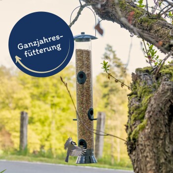 Ein mit Samen gefüllter Vogelhäuschen hängt von einem Baumast, während ein kleiner Vogel sich nähert, mit "Ganzjahresfütterung" in einem kreisförmigen Design.