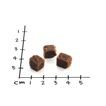 Drei kleine, dunkelbraune Haustierleckerlis werden auf einem weißen Hintergrund präsentiert, mit einem Lineal, das ihre Größe in Zentimetern angibt.