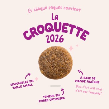 Une croquette ronde centrée avec le titre « La CROQUETTE 2026 » et de petites étiquettes sur la taille, les fibres et la viande fraîche.