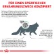 Infografik über die Ernährung von Katzen für diabetische Katzen, mit einer Silhouette einer Katze, einer Futterschüssel und Text zur Verwaltung des Blutzuckerspiegels.