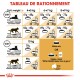 Guide d'alimentation pour chats par poids, montrant les quantités quotidiennes recommandées de nourriture pour les chats sédentaires et actifs, avec des options pour les croquettes et les pochettes.