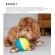 Ein brauner lockiger Hund spielt mit einem blauen und gelben Puzzleball auf einem mit Teppich ausgelegten Boden, beschriftet mit "Level 1" für Anfängerengagement.