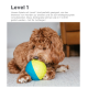 Ein brauner lockiger Hund spielt mit einem blauen und gelben Puzzleball auf einem mit Teppich ausgelegten Boden, beschriftet mit "Level 1" für Anfängerengagement.