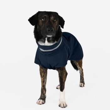 Ein stilvoller Hund in einem marineblauen Regenmantel mit reflektierendem Streifen, der vor einem schlichten weißen Hintergrund steht.