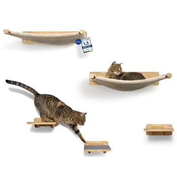 Eine getigerte Katze, die auf einer hölzernen wandmontierten Hängematte entspannt, während eine andere getigerte Katze nach einem kleinen Regal darunter greift.