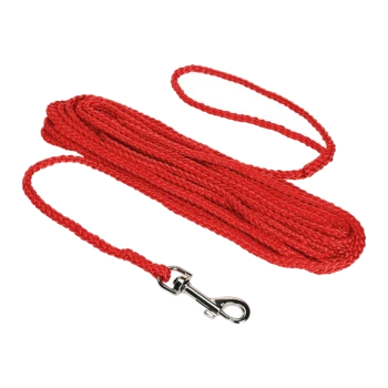 Une laisse pour animaux de compagnie tressée rouge avec un clip en métal à une extrémité, enroulée soigneusement sur un fond blanc.