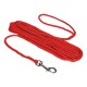 A red braided pet leash with a metal clip at one end, coiled neatly on a white background.