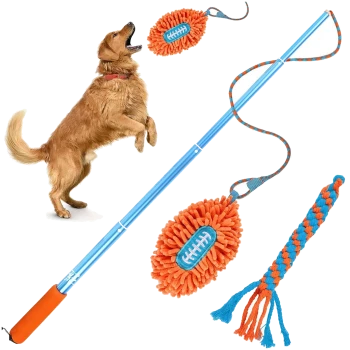 Golden Retriever springt an einer blauen Teleskopstange mit einem orangen Plüsch-Fußballspielzeug und blau-orange geflochtener Zerrleine