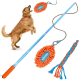 Golden Retriever springt an einer blauen Teleskopstange mit einem orangen Plüsch-Fußballspielzeug und blau-orange geflochtener Zerrleine