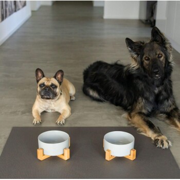 Zwei Hunde, ein Französischer Bulldogge und ein größerer Hund, liegen auf einer grauen Matte neben zwei modernen Fressnäpfen mit Holzständern.