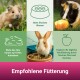Hamster, Meerschweinchen und Kaninchen essen zusammen. Tipps: "Frisches Wasser," "Heu nach Belieben," "Täglich Obst und Gemüse." Titel: "Empfohlene Fütterung."