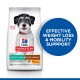Hill's Science Plan dog food bag for small dogs (up to 10 kg) with chicken, promoting weight loss and mobility support.