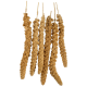 Ein Bündel aus sechs goldenen Hirse-Sprays, die jeweils dicht mit kleinen Samen gefüllt sind, hängen an dünnen Stöcken, ideal für Haustier-Vögel.