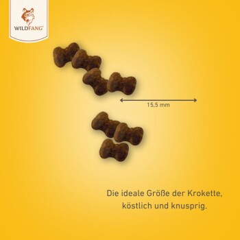 Braune Hundefutterkroketten in Knochenform, 15,5 mm groß, auf einem gelben Hintergrund mit dem Text: "Die ideale Größe der Krokette, köstlich und knusprig."