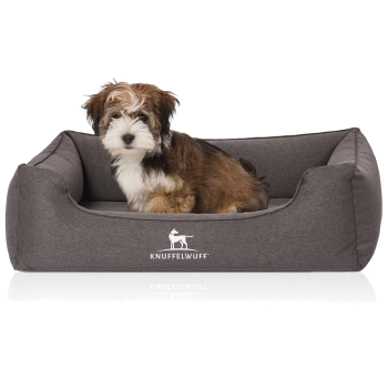 Fluffiger braun-weiß gefleckter Welpe sitzt in einem grauen Hundebett mit der Aufschrift „KNUFFELWUFF“ und einem weißen Hundelogo.