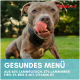 Grauer Hund leckt sich die Nase auf Gras; 'Supravit' Logo; Banner: GESUNDES MENÜ — 60% Lamm, 37% Lamminnereien, 3% Reis, Vitamin D3.