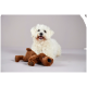 Kleiner weißer, flauschiger Hund mit einem braunen Plüschhund vor hellem grauem Hintergrund, lächelt in die Kamera