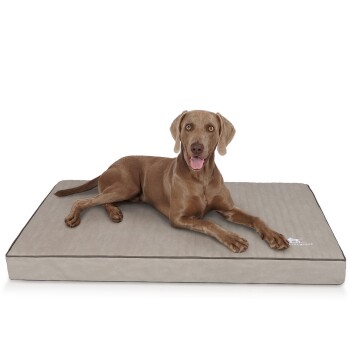 orthopädische Hundematte Palomino aus laser-gestepptem Kunstleder grau XXXL